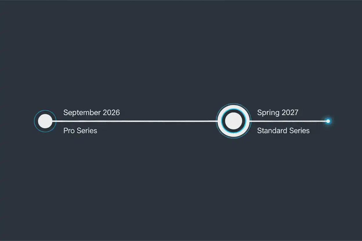 professional-launch-timeline-infographic